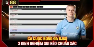 Cá Cược Bóng Đá KUBET