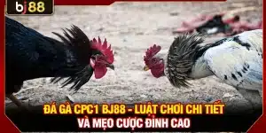 Đá Gà CPC1 KUBET