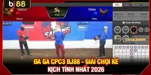 Đá Gà CPC3 KUBET