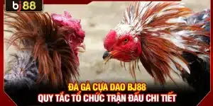 Đá Gà Cựa Dao KUBET