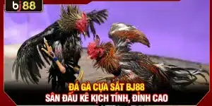 Đá Gà Cựa Sắt KUBET