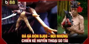 Đá Gà Đòn KUBET