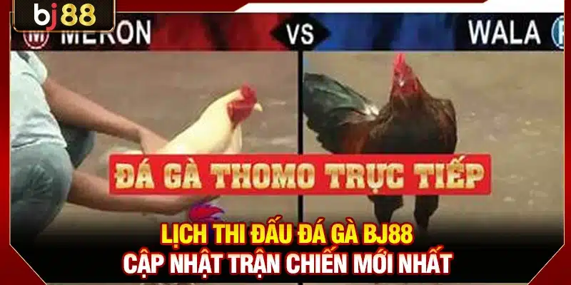 Lịch Thi Đấu Đá Gà KUBET