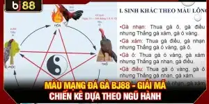 Màu Mạng Đá Gà KUBET