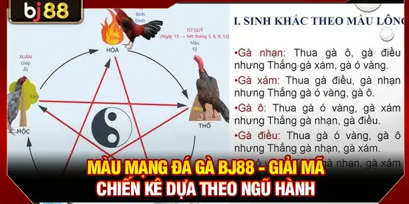 Màu Mạng Đá Gà KUBET