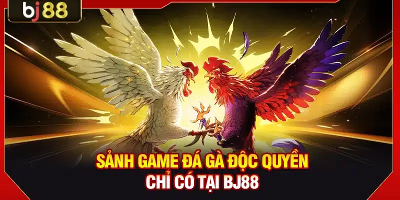 KUBET DET ⭐️ Trang Chủ KUBET.COM Uy Tín | Thưởng Đăng Ký 250K 7 Sảnh game đá gà độc quyền chỉ có tại KUBET