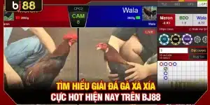 Đá Gà Xà Xía