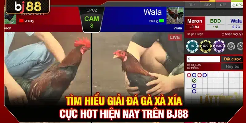 Đá Gà Xà Xía