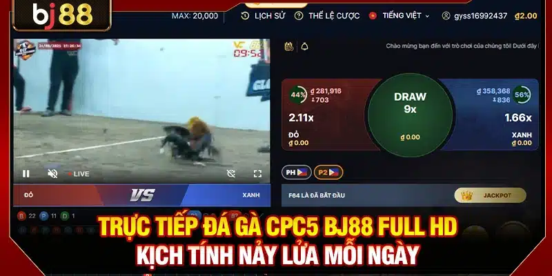 Đá Gà CPC5 KUBET